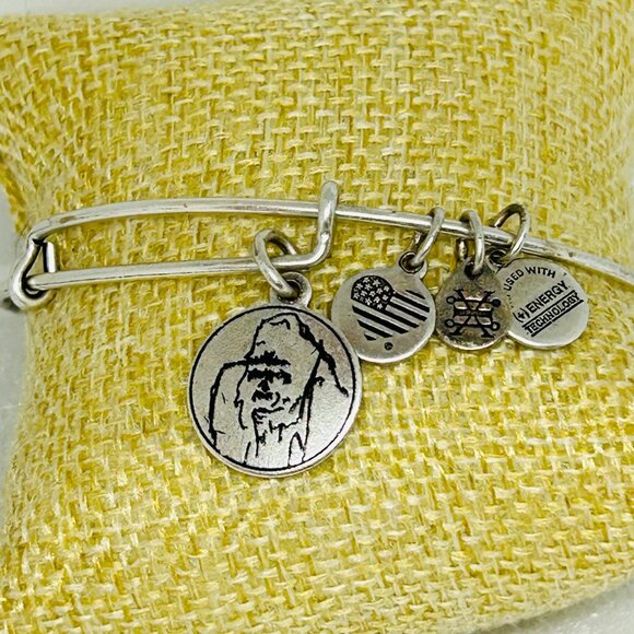 Alex And Ani Charity By Design Gorilla Charm Silver Tone Bracelet Ellen Fund NWT - Picture 1 of 5